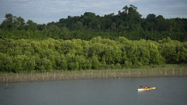 View of people kayaking on a river near lush forests Bangladesh.
