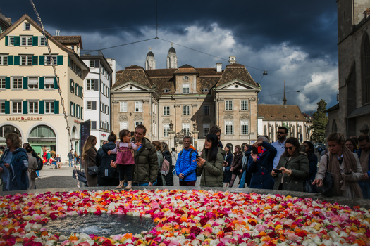 Zurich Switzerland 02 April 2023 View of a vibrant tapestry of flower petals floating on the water reflecting the city s historic buildings under a dramatic sky. Zurich Switzerland 02 April 2023 View of a vibrant tapestry of flower petals floating on the water reflecting the city s historic buildings under a dramatic sky.