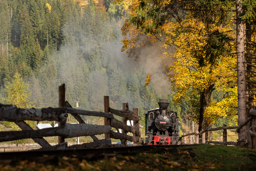 View of the Mocanita Moldovita steam train emitting smoke while traveling along tracks past a rustic wooden fence and vibrant autumn forest in Moldovita Suceava County Romania. View of the Mocanita Moldovita steam train emitting smoke while traveling along tracks past a rustic wooden fence and vibrant autumn forest in Moldovita Suceava County Romania.