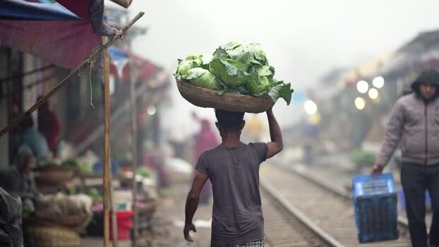 View of a man carrying cabbages on his head near tracks Bangladesh. View of a man carrying cabbages on his head near tracks Bangladesh.