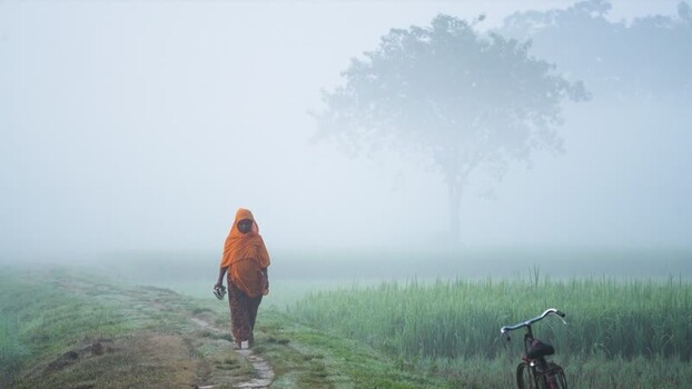 View of a woman walking through foggy fields in Bogura Bangladesh.