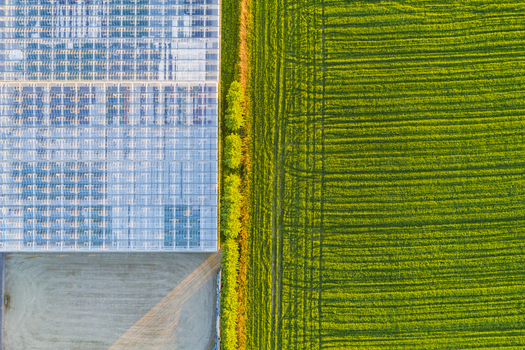 Aerial view of a large greenhouse complex adjacent to a vibrant green agricultural field separated by a row of trees in Fjaras Halland County Sweden. Aerial view of a large greenhouse complex adjacent to a vibrant green agricultural field separated by a row of trees in Fjaras Halland County Sweden.