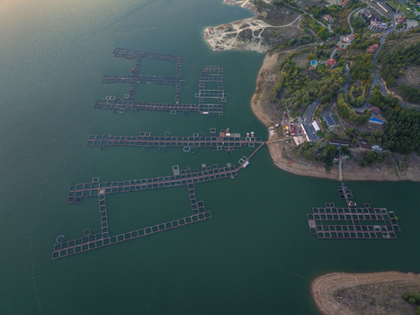 Aerial view of fish farming cages floating in the Kardzhali Reservoir with surrounding hills and trees in Kardzhali Province Bulgaria. Aerial view of fish farming cages floating in the Kardzhali Reservoir with surrounding hills and trees in Kardzhali Province Bulgaria.