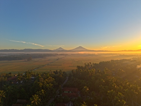 Aerial view of lush rice fields and palm trees at sunrise with distant volcanoes on the horizon in Kutoarjo Central Java Indonesia. Aerial view of lush rice fields and palm trees at sunrise with distant volcanoes on the horizon in Kutoarjo Central Java Indonesia.