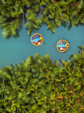 Aerial view of traditional round basket boats navigating a river through lush palm trees in Vietnam. Aerial view of traditional round basket boats navigating a river through lush palm trees in Vietnam.