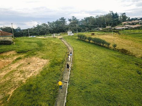 Aerial view of a winding concrete path cutting through lush green fields guiding a small group of people towards distant homes under a soft sky Obudu Cross River Nigeria.