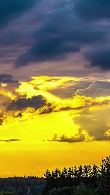 View of dramatic sunset over a forest silhouette Latvia. View of dramatic sunset over a forest silhouette Latvia.
