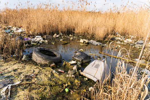View of plastic waste a discarded tire and an old television polluting the reeds and shoreline of Lake Varna Varna Bulgaria. View of plastic waste a discarded tire and an old television polluting the reeds and shoreline of Lake Varna Varna Bulgaria.