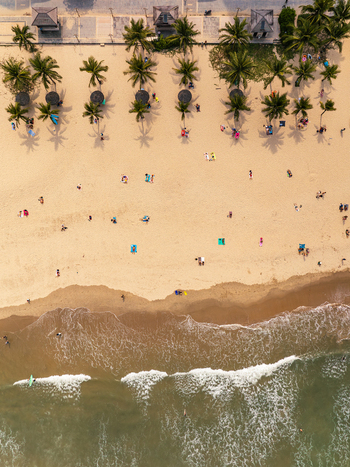 Aerial view of a sandy beach with palm trees beach umbrellas and people relaxing on the shore in Vietnam. Aerial view of a sandy beach with palm trees beach umbrellas and people relaxing on the shore in Vietnam.