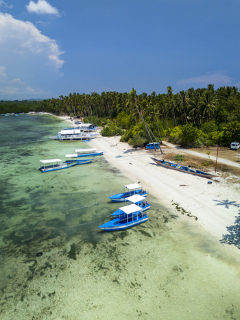 Aerial view of Doljo beach with traditional outrigger boats moored in clear turquoise water along a white sand coastline lined with lush palm trees in Panglao Central Visayas Philippines.