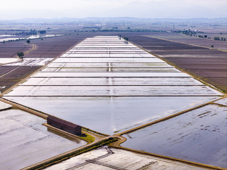 Aerial view of the historic Tenuta Colombara farm surrounded by flooded rice fields and geometric irrigation paddies in the flat agricultural landscape of Livorno Ferraris Piemonte Italy.