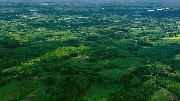 Aerial view of lush green forests in Latvia. Aerial view of lush green forests in Latvia.