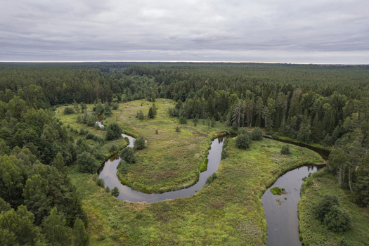 Aerial view of the meandering river flowing through the dense forests of Lahemaa National Park in Lahemaa Estonia. Aerial view of the meandering river flowing through the dense forests of Lahemaa National Park in Lahemaa Estonia.