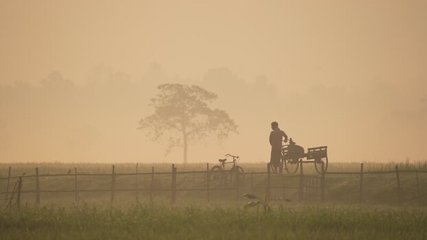 View of a man with a cart in a foggy rural landscape Bangladesh.