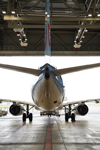 View of the rear of a Boeing 737 800 aircraft parked inside the maintenance hangar at Hannover Airport in Langenhagen Niedersachsen Germany. View of the rear of a Boeing 737 800 aircraft parked inside the maintenance hangar at Hannover Airport in Langenhagen Niedersachsen Germany.