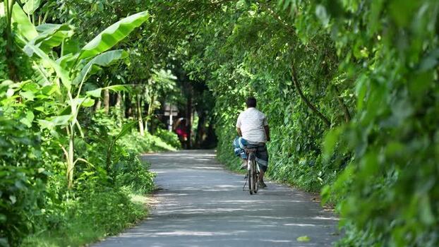 View of a man riding a bicycle on a rural road in Bogura Bangladesh. View of a man riding a bicycle on a rural road in Bogura Bangladesh.
