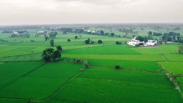 Aerial view of green agricultural fields in rural Patna India.