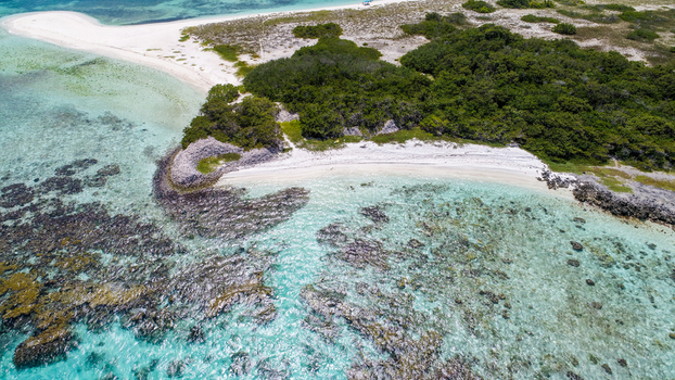 Aerial view of Los Roques archipelago featuring turquoise water coral reefs white sand beaches and lush green vegetation in Los Roques Dependencias Federale Venezuela. Aerial view of Los Roques archipelago featuring turquoise water coral reefs white sand beaches and lush green vegetation in Los Roques Dependencias Federale Venezuela.