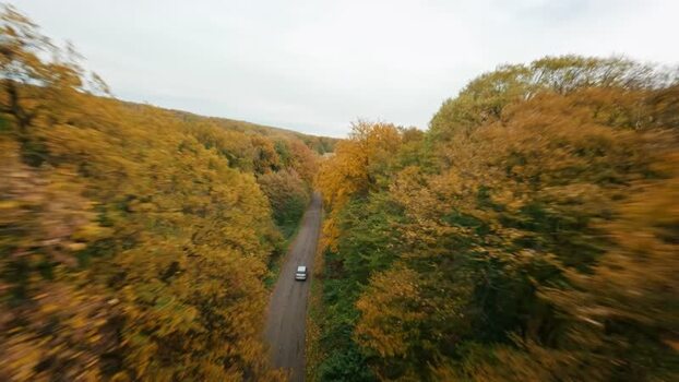 FPV aerial view of a car in Fruska Gora forest Serbia. FPV aerial view of a car in Fruska Gora forest Serbia.