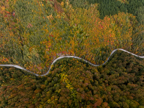 Aerial view of a winding road cutting through a dense forest with vibrant autumn foliage in shades of orange yellow and green in Bulgaria. Aerial view of a winding road cutting through a dense forest with vibrant autumn foliage in shades of orange yellow and green in Bulgaria.