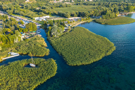 Aerial view of Lake Ohrid featuring dense reed beds small boats moored in the clear water and the lush green shoreline of Ohrid Municipality of Ohrid North Macedonia.
