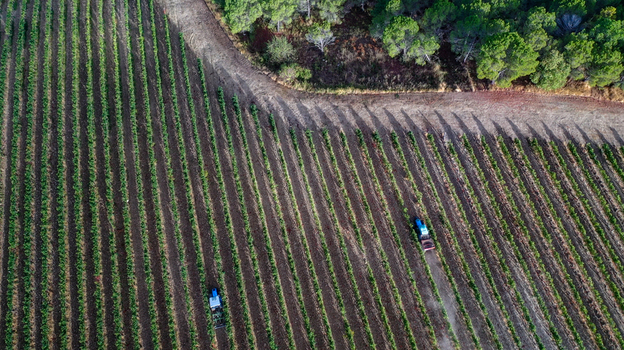 Aerial view of two tractors working in a lush vineyard with parallel rows of vines near a forest edge in Greve in Chianti Tuscany Italy. Aerial view of two tractors working in a lush vineyard with parallel rows of vines near a forest edge in Greve in Chianti Tuscany Italy.