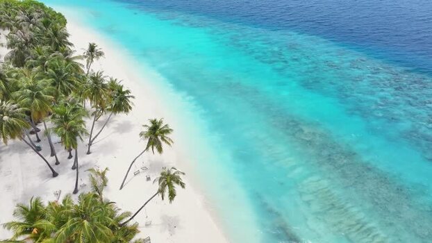 Aerial view of a tropical beach with white sand and palm trees Maldives. Aerial view of a tropical beach with white sand and palm trees Maldives.