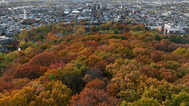 Aerial view of the city of Reading surrounded by vibrant autumn foliage with colorful trees urban buildings and a clear sky in Reading Pennsylvania United States. Aerial view of the city of Reading surrounded by vibrant autumn foliage with colorful trees urban buildings and a clear sky in Reading Pennsylvania United States.