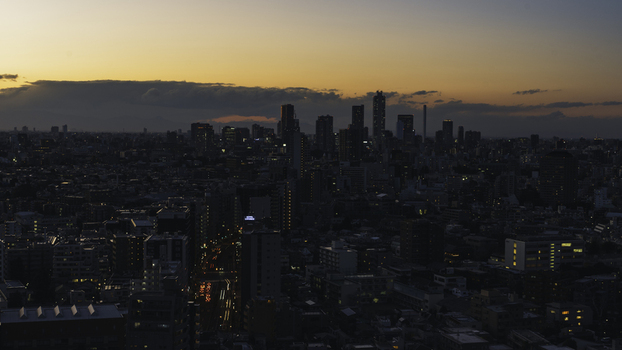 Aerial view of the city skyline glows softly under the fading light casting long shadows across the urban landscape Bunkyo City Tokyo Japan. Aerial view of the city skyline glows softly under the fading light casting long shadows across the urban landscape Bunkyo City Tokyo Japan.
