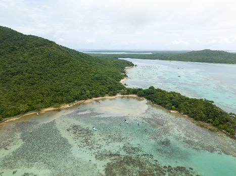 Aerial view of the lush green coastline meeting the turquoise sea near Annora Beach a tropical paradise Karimunjawa Jawa Tengah Indonesia.