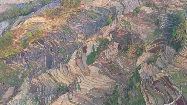 Aerial view of rice terraces in Yuanyang China.