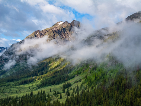 View of rugged mountain peaks partially shrouded in thick white clouds above lush green slopes and dense pine forests Colorado United States.