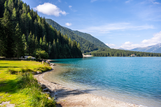 View of the turquoise waters of Antholzer See surrounded by dense pine forests and mountains under a clear blue sky in Rasen Antholz Trentino Alto Adige Italy. View of the turquoise waters of Antholzer See surrounded by dense pine forests and mountains under a clear blue sky in Rasen Antholz Trentino Alto Adige Italy.