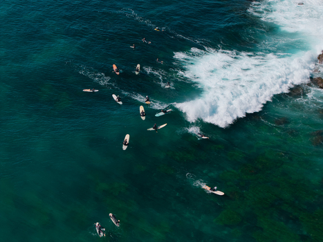 Aerial view of surfers paddling on their boards in the turquoise ocean water at Dee Why Beach Dee Why New South Wales Australia. Aerial view of surfers paddling on their boards in the turquoise ocean water at Dee Why Beach Dee Why New South Wales Australia.