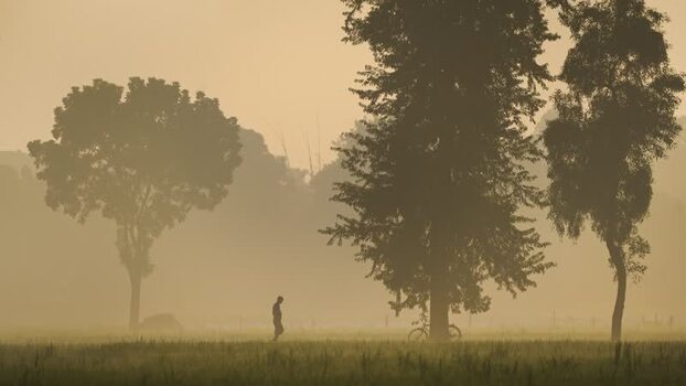 View of a person walking through a foggy field at dawn Bangladesh.