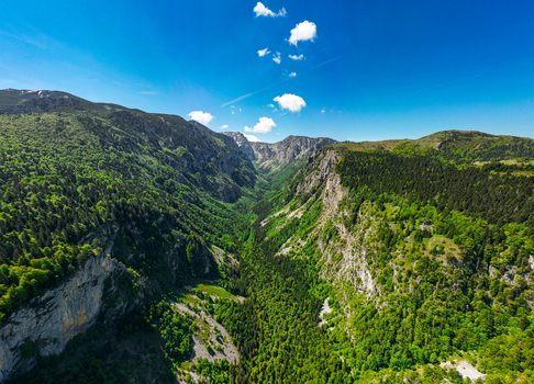 Aerial view of Viewpoint Nedajno Susica canyon featuring lush green forests steep rocky cliffs and a deep gorge under a clear blue sky in Nedajno Opstina Zabljak Montenegro. Aerial view of Viewpoint Nedajno Susica canyon featuring lush green forests steep rocky cliffs and a deep gorge under a clear blue sky in Nedajno Opstina Zabljak Montenegro.