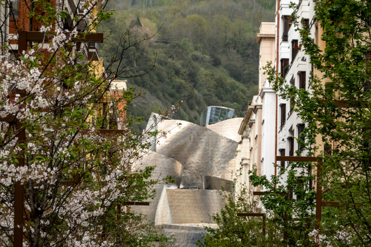 View of the Guggenheim Museum Bilbao s titanium curves framed by blooming cherry blossoms and urban buildings with a forested hill in the background in Bilbao Euskadi Spain. View of the Guggenheim Museum Bilbao s titanium curves framed by blooming cherry blossoms and urban buildings with a forested hill in the background in Bilbao Euskadi Spain.