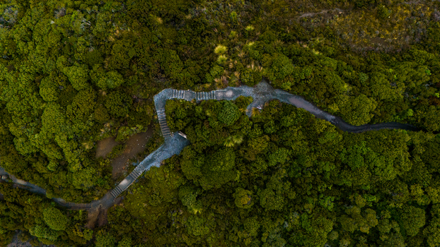 Aerial view of a winding pathway snaking through a vibrant green forest near Taranaki Falls Manawatu Whanganui Region New Zealand. Aerial view of a winding pathway snaking through a vibrant green forest near Taranaki Falls Manawatu Whanganui Region New Zealand.