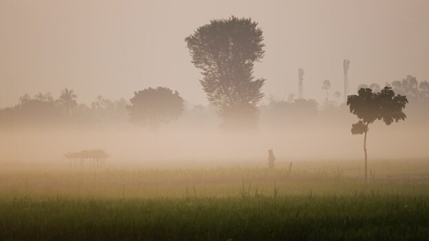 View of a person in a misty rural field at sunrise Bangladesh.