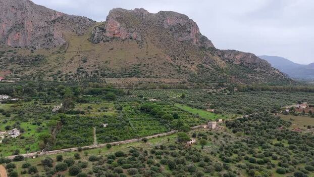Aerial view of Terrasini landscape with olive groves Italy.
