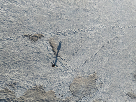 Aerial view of a person walking across the snowy Versante sud dell Etna with a long shadow and tracks in Nicolosi Sicilia Italy. Aerial view of a person walking across the snowy Versante sud dell Etna with a long shadow and tracks in Nicolosi Sicilia Italy.