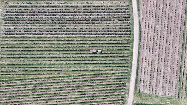 Aerial view of a tractor working in a vineyard France.