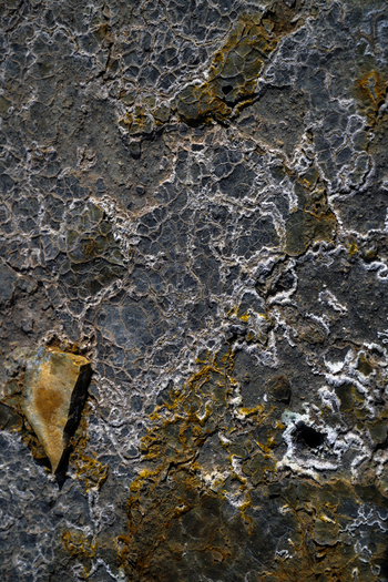 View of a rugged textured rock face with contrasting grey and gold hues displaying intricate patterns and mineral deposits Hrunamannahreppur Iceland.
