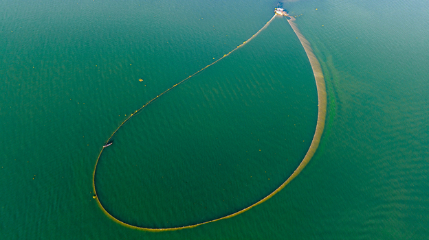 Aerial view of a fishing net forming a large loop in the green waters of Kaptai Lake with a small boat in Rangamati Chittagong Division Bangladesh.