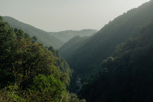 Aerial view of the lush green mountain valley and dense forests of Dharamkot in the Himalayan foothills near Dharamshala Himachal Pradesh India.