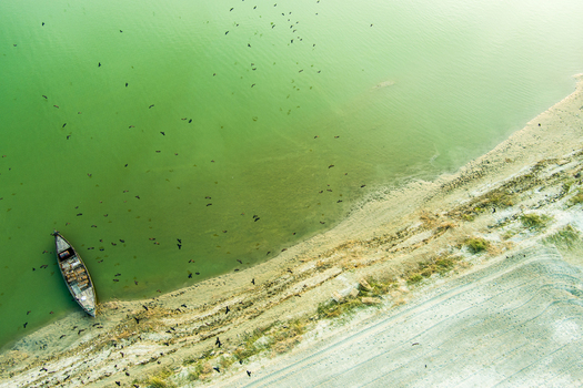 Aerial view of a wooden boat moored on the sandy bank of the Padma River with a flock of birds flying over the green water in Rajshahi Rajshahi Division Bangladesh.