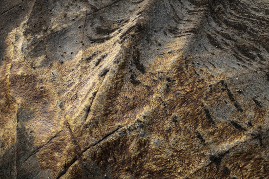 View of the textured rock surface of the Calafuria cliffs showing intricate mineral patterns and natural cracks Calafuria Toscana Italy.