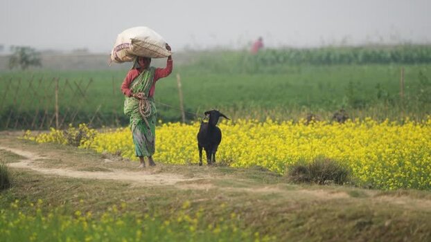 View of a woman carrying a sack and leading a goat Bangladesh.