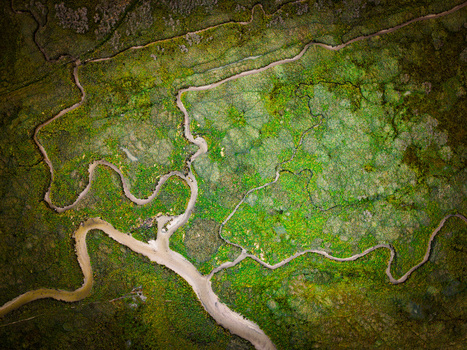 Aerial view of the winding Havre de Geffosses estuary cutting through vibrant green marshlands and tidal flats in Geffosses Normandy France.