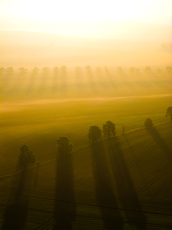 Aerial view of rolling fields in the South Moravian Region at sunrise with trees casting long shadows across the mist covered landscape in Kyjov South Moravian Region Czechia.